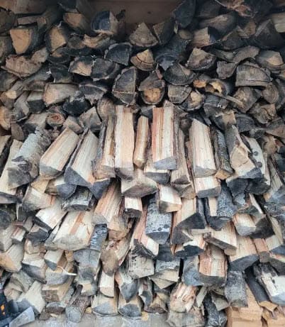 Poplar Firewood for Sale - Image 1